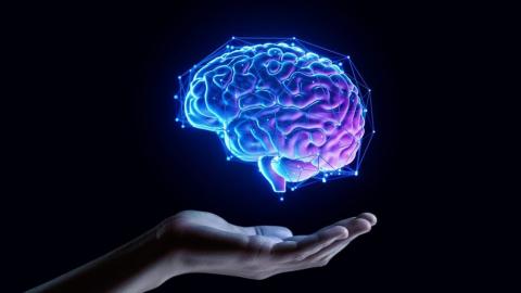 Cognition and Brain Health