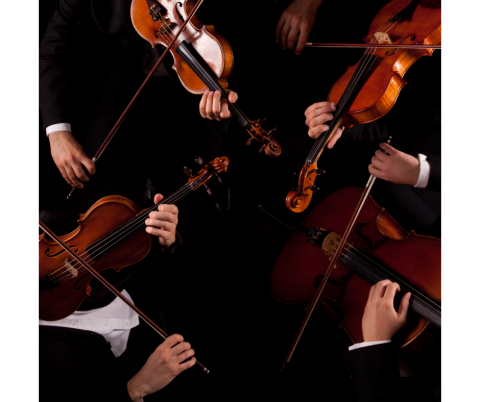 string quartet