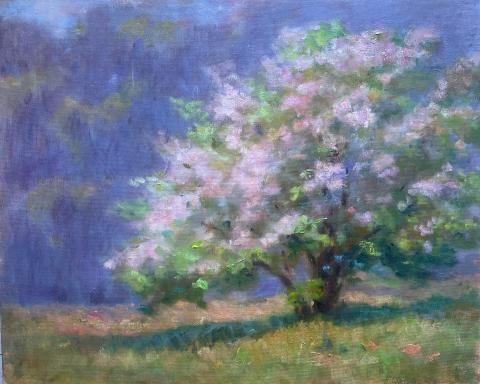 Tree in Blossom painting by Lucy Reitzfeld